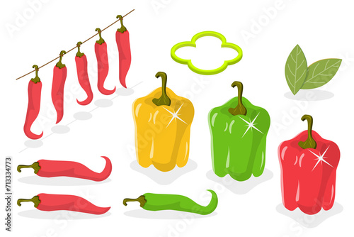 3D Isometric Flat  Set of Chili Peppers, Mexican Cuisine Ingredient photo