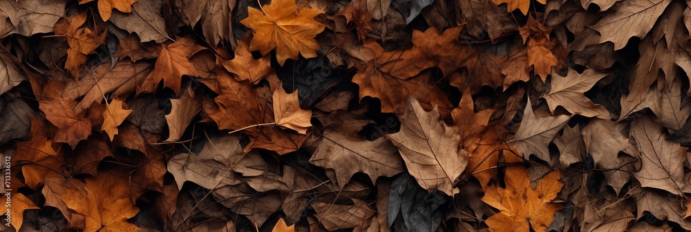 Seamless Fall forest floor, fall leaf texture for wall and floor tile background , decorative Seamless Fall forest floor, fall leaf texture for wall and floor tile background , decorative