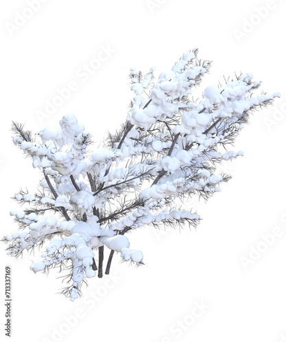 Albero con e senza foglie bianche, arancioni, verdi, gialle, rosse fondo trasparente e isolato inverno con neve	 photo