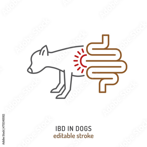 IBD in dogs. Linear icon, pictogram, symbol.