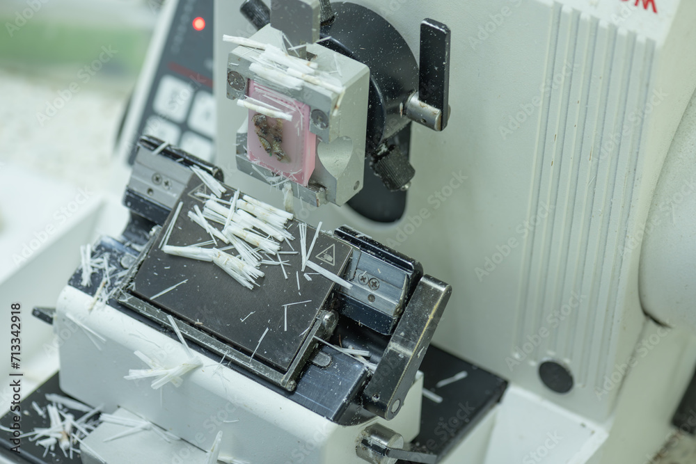 Obraz premium A medical scientist prepares a pathological specimen for a pathologist to diagnose.