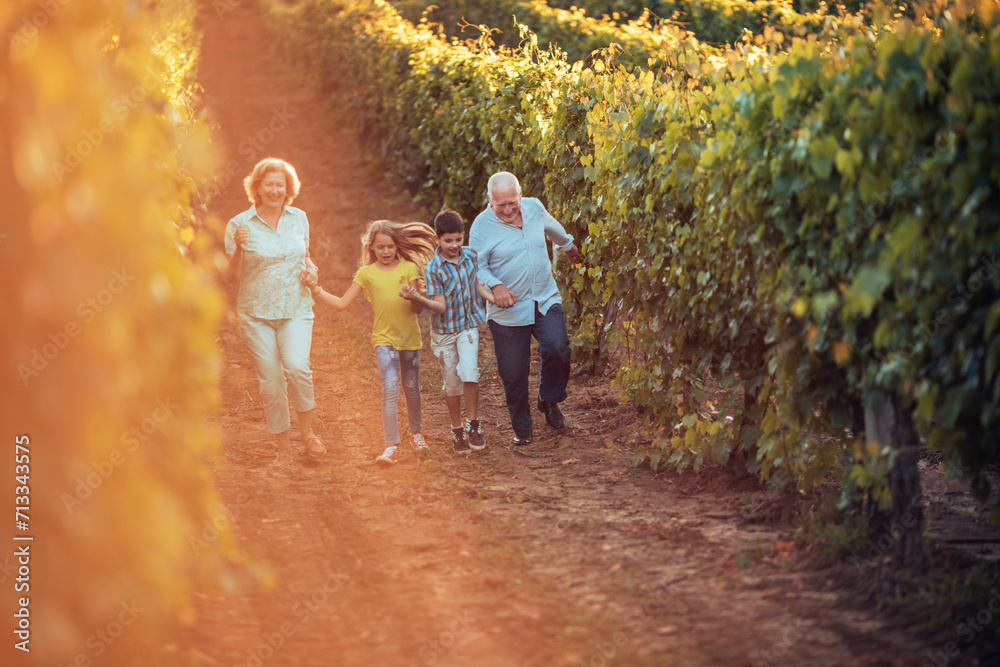 Happy grandparents and grandchildren walking through a vineyard Happy grandparents and grandchildren walking through a vineyard