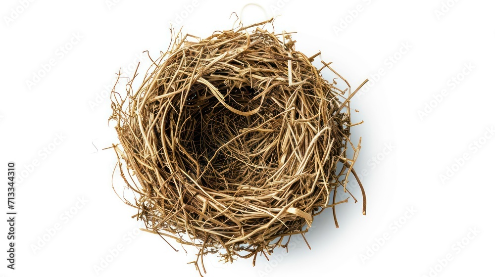 bird nest isolated on white background bird nest isolated on white background