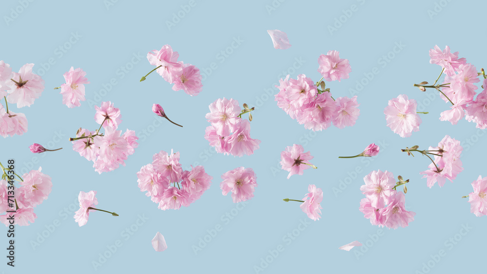 Spring flowers fly on a blue sky background. Beautiful pastel pink flower arrangement. Summer wallpaper.