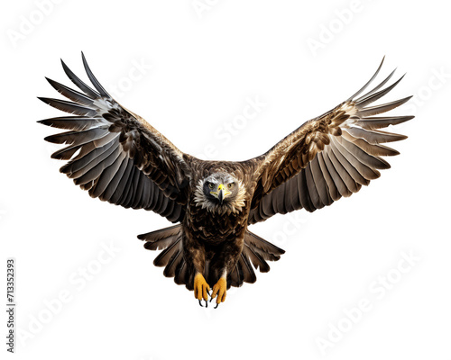 Eagle in flight on transparent background © Mubeen