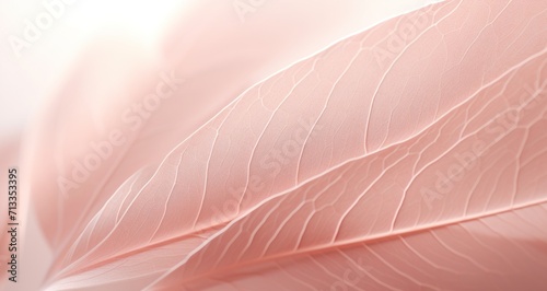 close up of a pink leaf