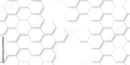 Background hexagons White Hexagonal Luxury honeycomb grid White Pattern. Vector Illustration. 3D Futuristic abstract honeycomb mosaic white wallpaper background. Abstract geometric mesh cell texture.