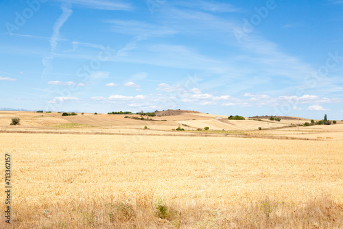 Castile and Leon region rural landscape, Spain