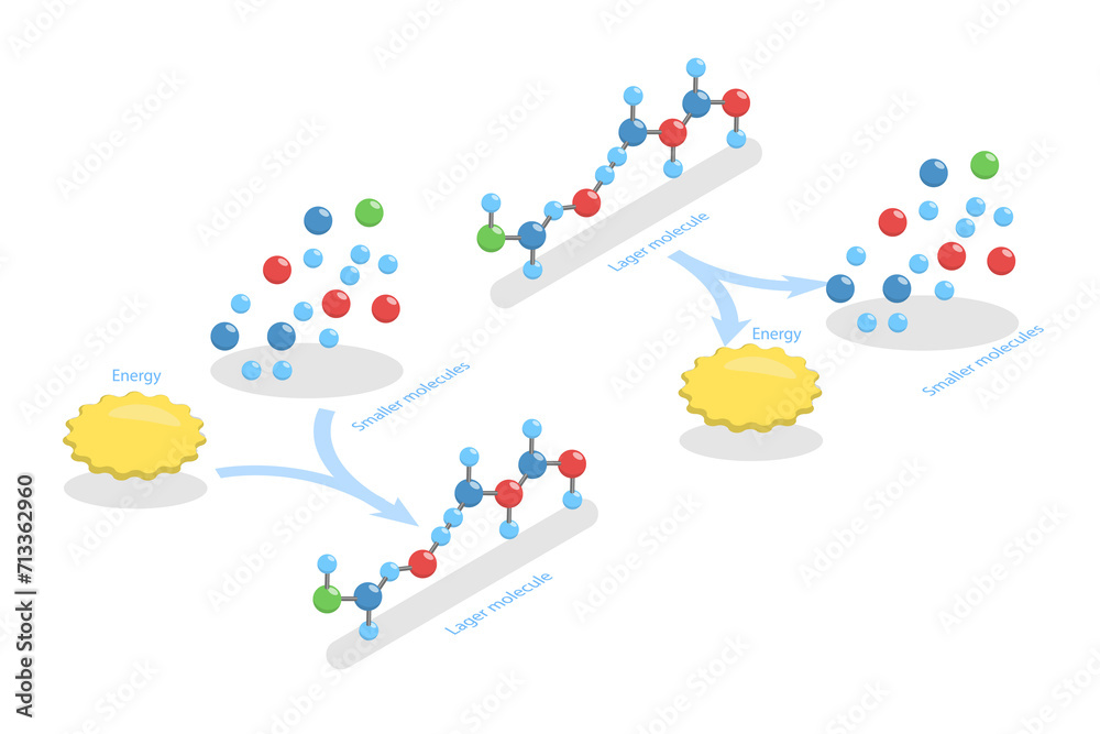 3D Isometric Flat Conceptual Illustration of Anabolic Vs Catabolic ...