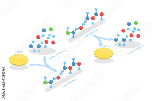 3D Isometric Flat  Conceptual Illustration of Anabolic Vs Catabolic Reaction, Educational Diagram