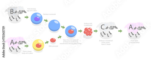 3D Isometric Flat  Conceptual Illustration of Animal Cloning, Biotechnology Example photo