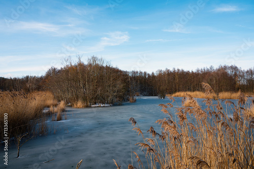 Biodiversity Haff Reimech, wetland and nature reserve in Luxembourg, pond surrounded by reed and trees, bird watching observation point, snow in winter 