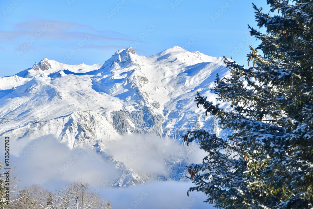 Winter scenery with snowy tress Winter scenery with snowy tress