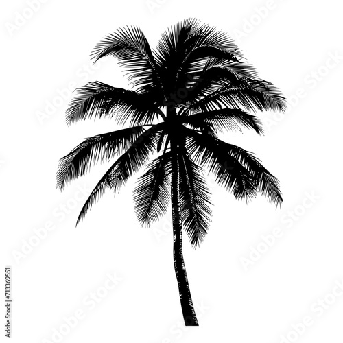 silhouette coconut tree black color only © NikahGeh