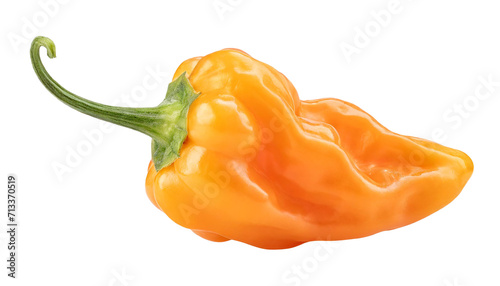 Orange Habanero Peppers isolated on a transparent background.