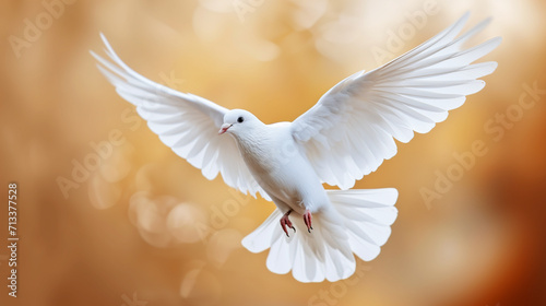 Harmony in Flight: White Dove Symbolizing Peace in 16:9 © Kianite
