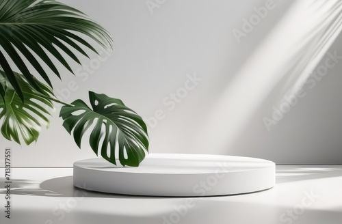White podium stand layout of the showcase template for product presentation, decorated with tropical leaves