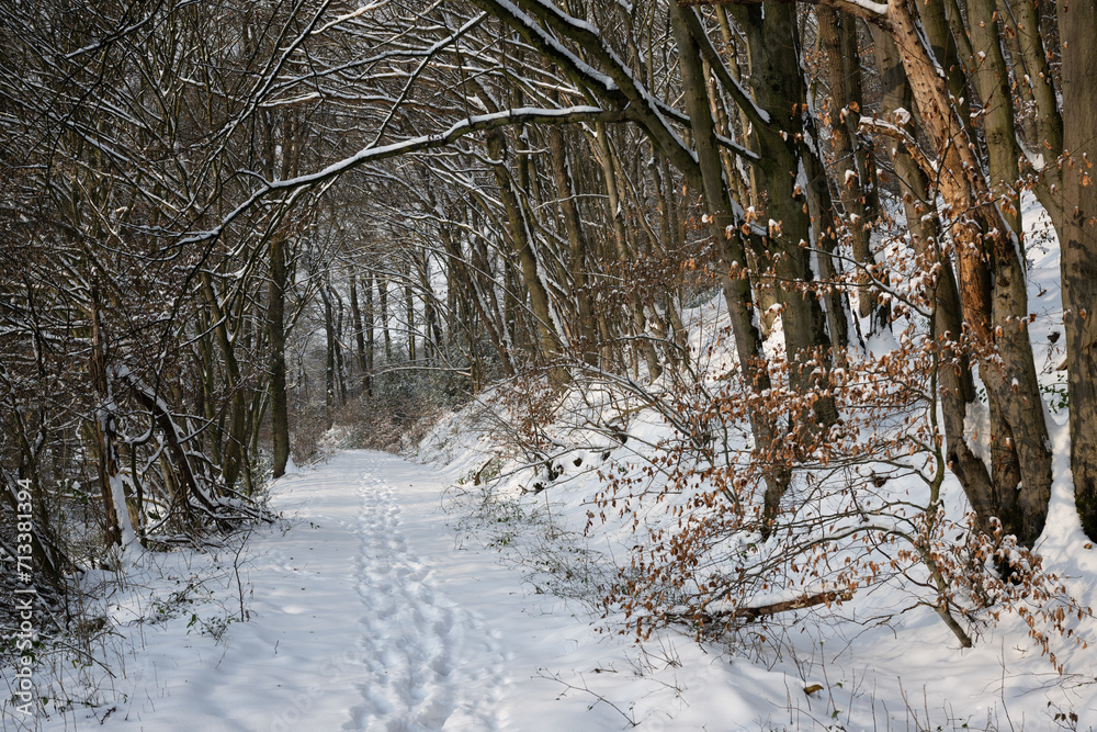 Φωτογραφία Winterliche Wege in der Schneelandschaft des Hanfbachtals in Hennef