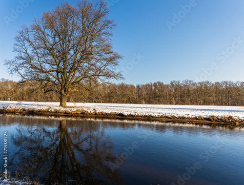 A stately tree stands on a snow-covered meadow by a river