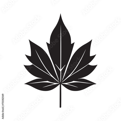 Maple Leaf Illustration © HPK DESIGN STUDIO