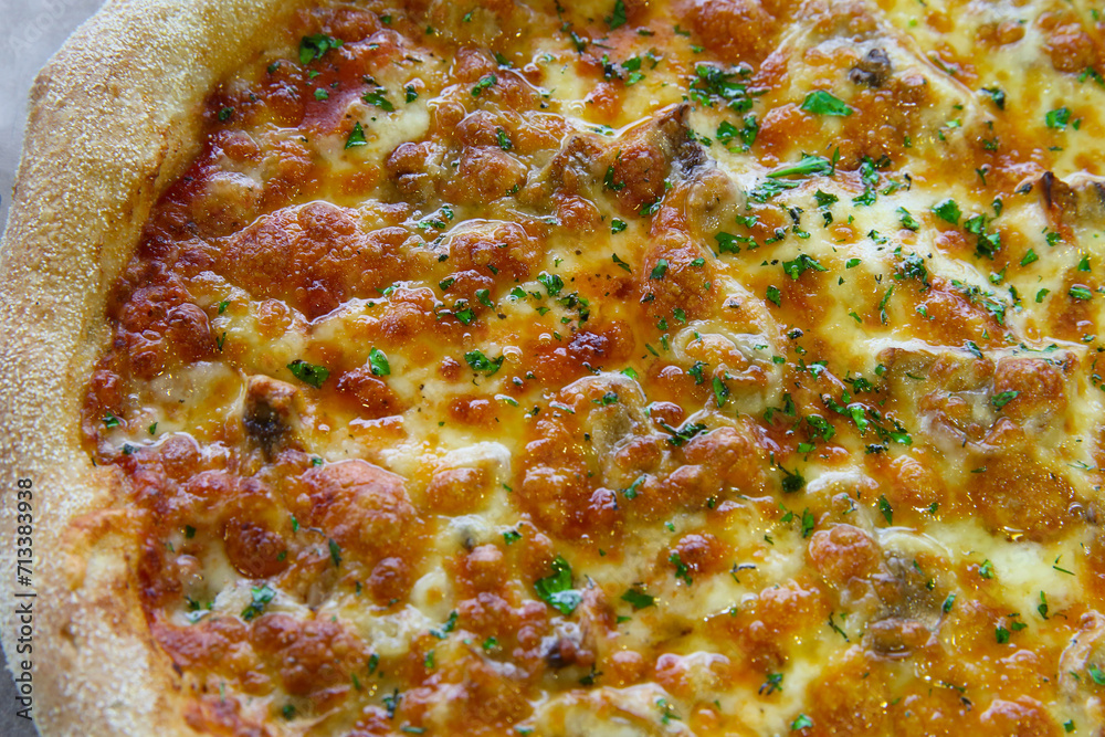 Hot pizza with mozzarella cheese and green basil close-up Hot pizza with mozzarella cheese and green basil close-up