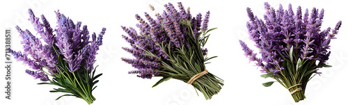 lavender set png. set of lavender flowers isolated. lavandula flower. aromatic plant of lavender isolated. lavender top view png. lavender flat lay png