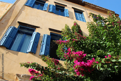 habitation building and gougainvillea in chania in crete in greece 