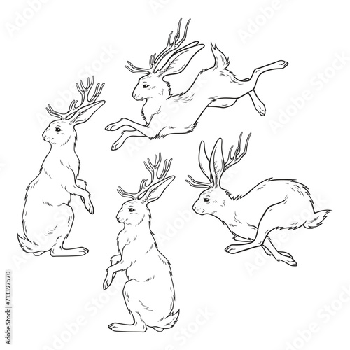 Jackalope hare with horns folklore magic animals set hand drawn line art gothic tattoo design isolated vector illustration