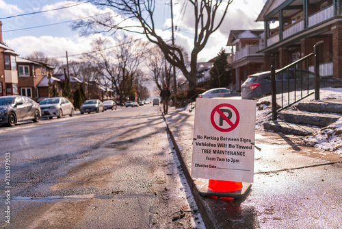 Photography tree maintenance signage: no parking between signs vehicles will be towed posted