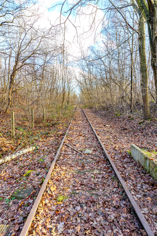 Fototapeta premium Old disused straight train tracks disappearing into background, among bare trees and wild vegetation, Thor Park - Hoge Kempen National Park, sunny autumn day in Genk, Belgium