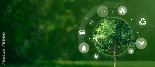 Eco symbols around green tree. Ecology concept