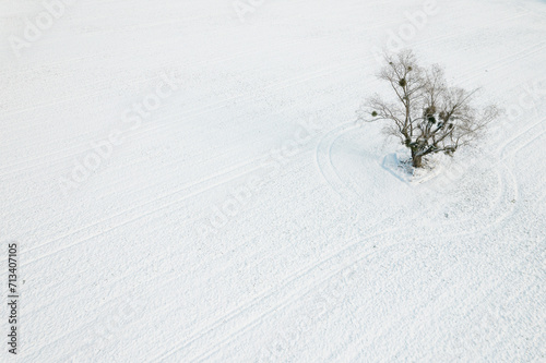 Aerial Winter Wonderland: Drone View of a Snow-Covered Meadow with a Majestic Tree