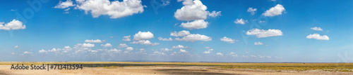 A panoramic view captures the vastness of an African savannah  with a clear blue sky punctuated by soft clouds  highlighting the natural beauty of the landscape.
