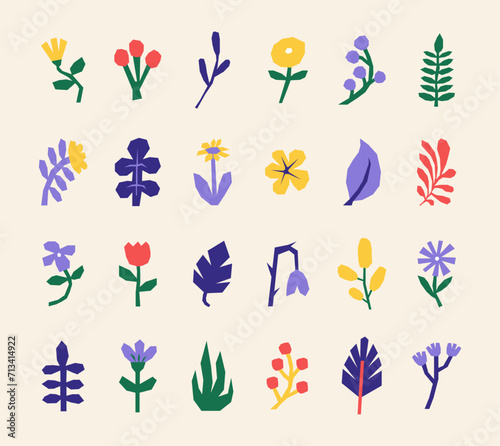 Collection of colorful naive plants and flowers. Botanical isolated flat vector illustrations. Minimalist floral cutouts set. Hand drawn nature elements for print and web.