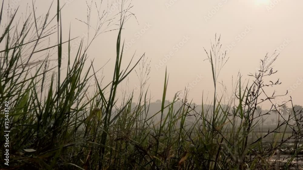 Beautiful misty morning view of the village Beautiful misty morning view of the village