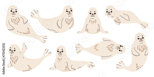 Cute pup seal in various poses set. Vector flat illustration on white background.