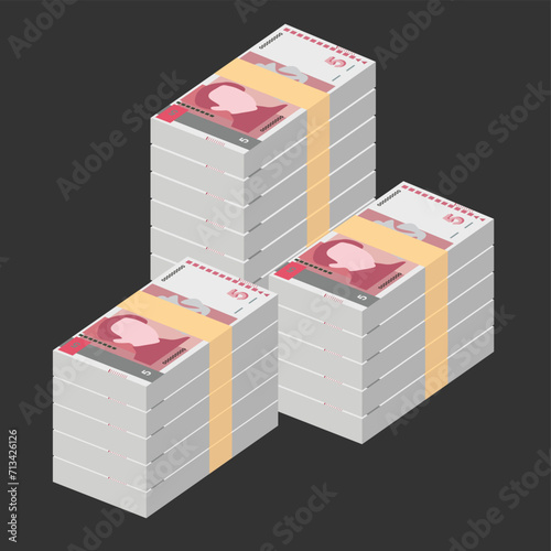 Bulgarian Lev Vector Illustration. Bulgaria money set bundle banknotes. Paper money 5 BGN. Flat style. Isolated on white background. Simple minimal design.
