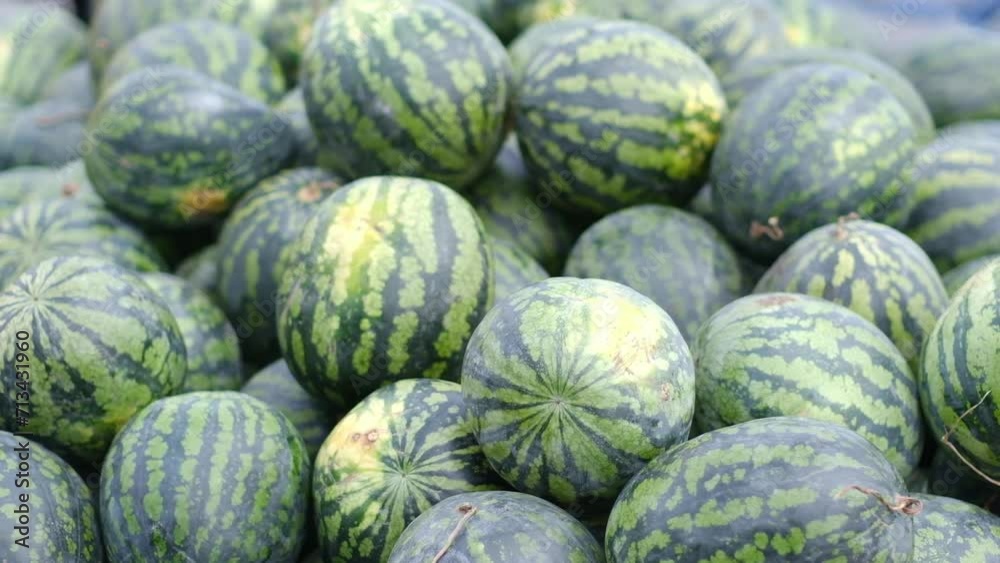 sale of a lot of water melon on bazar sale of a lot of water melon on bazar