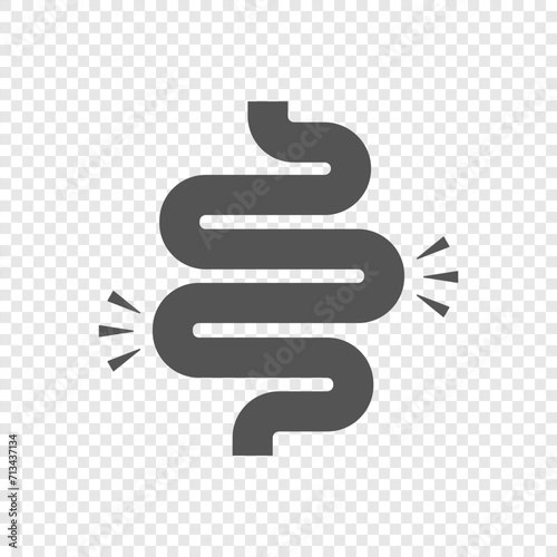 Digestive system icon. Colitis vector icon