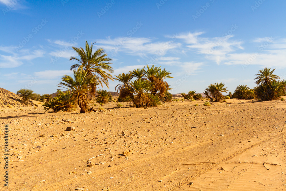 Small sand and stone oasis with date palms.  Morocco, Africa