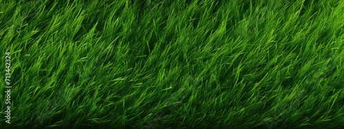 close up grass football field, soccer field for banner design 