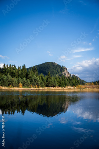 Morning sun at the mountain lake with grass and pine trees