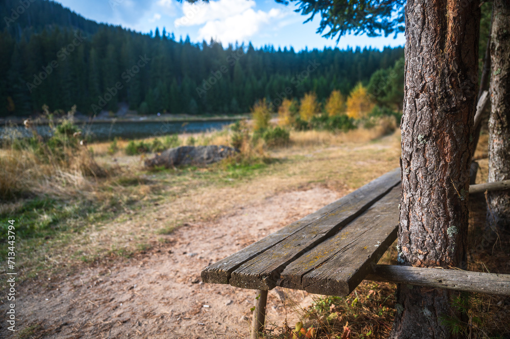Solitude Rest: Lone Bench by Mountain Lake Solitude Rest: Lone Bench by Mountain Lake
