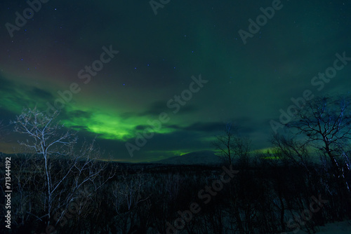 Quadro su tela Image of the Northern Lights in Abisko, Sweden