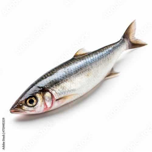 Tasty and healthy sea fish herring Clupea isolated on white close-up