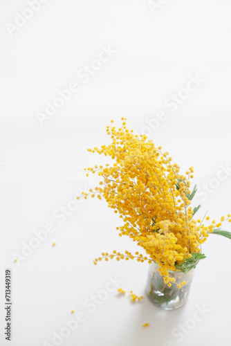 Fototapeta Naklejka Na Ścianę i Meble -  Branch of yellow mimosa on white background