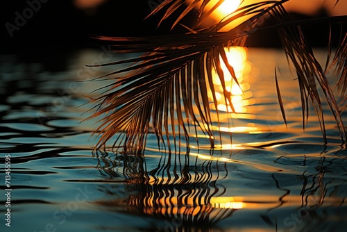  a close up of a palm leaf on a body of water with the sun setting in the distance behind it.