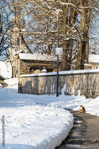 Eine Katze sitzt vor dem schneebedeckten Kupfermeister Friedhof