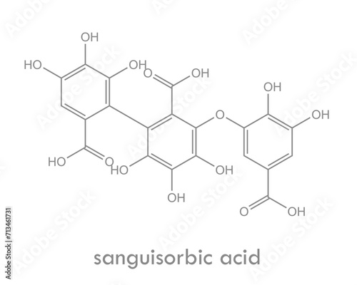 Sanguisorbic acid structure. Constituent of some ellagitannins.