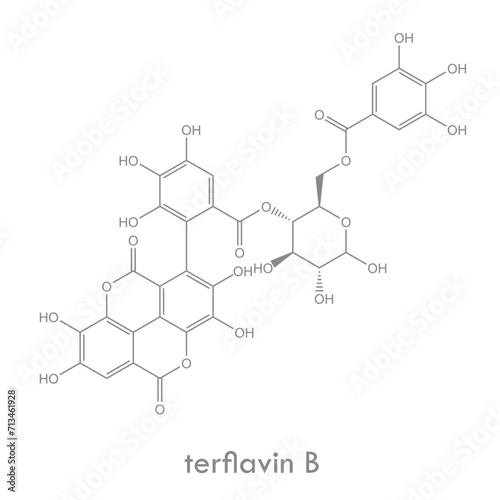 Terflavin b structure. Molecule of an ellagitannin, a type of hydrolysable tannin.